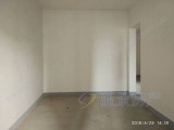 臨近長江，一線江景房，毛坯三居室，證滿兩年，隨時(shí)看房